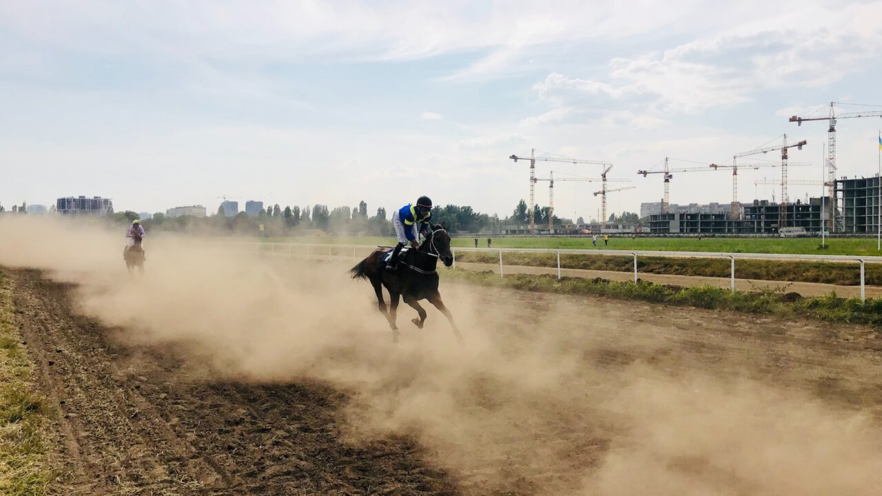 競馬は日本で人気のあるスポーツだ。