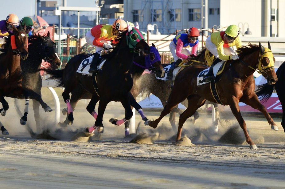 2023年の日本での注目の競馬イベント