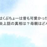 こはくぶちょーは昔も可愛かった？整形や炎上話の真相は？母親はどんな人？